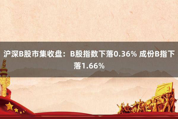 沪深B股市集收盘：B股指数下落0.36% 成份B指下落1.66%
